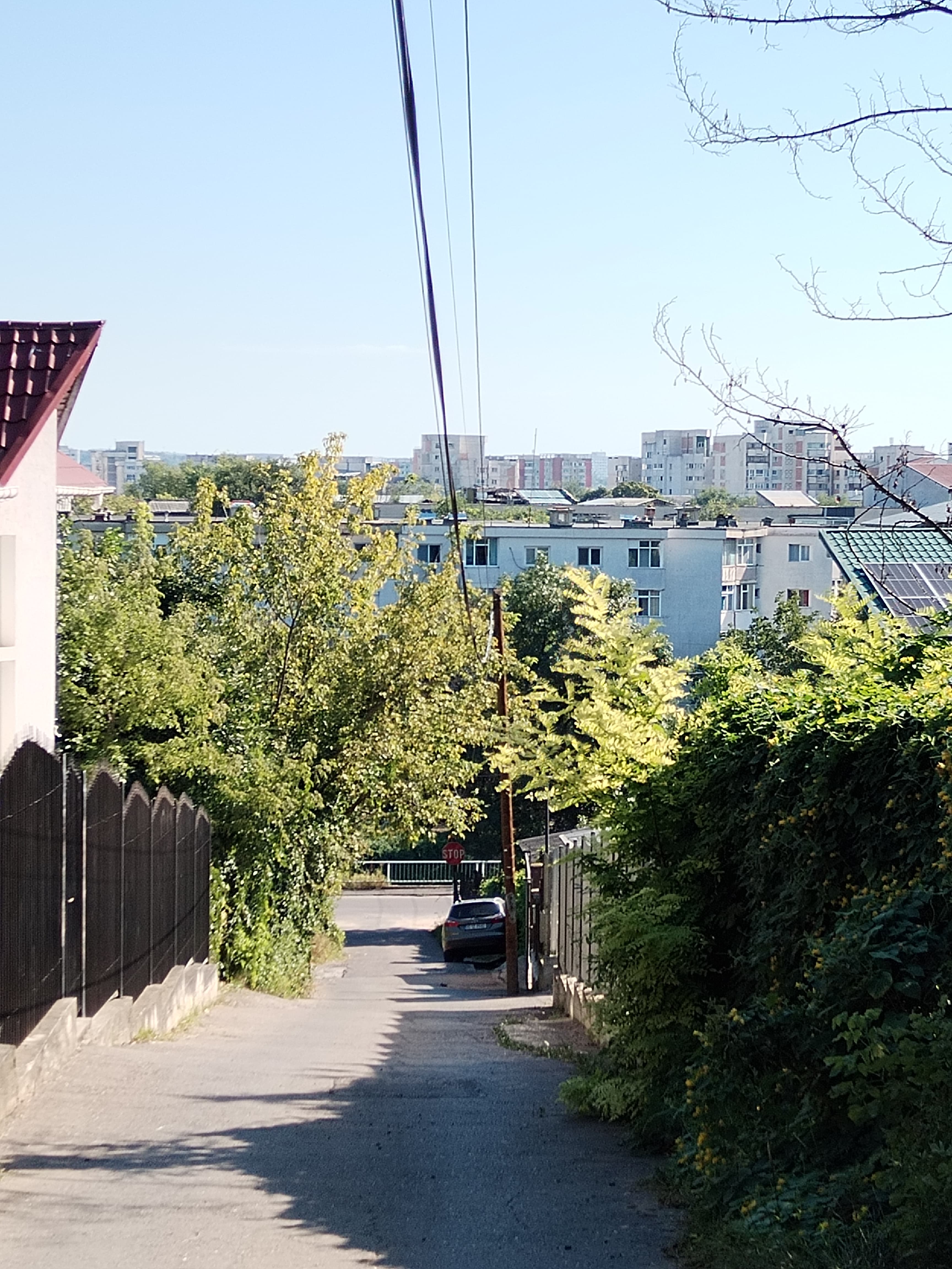 photo5