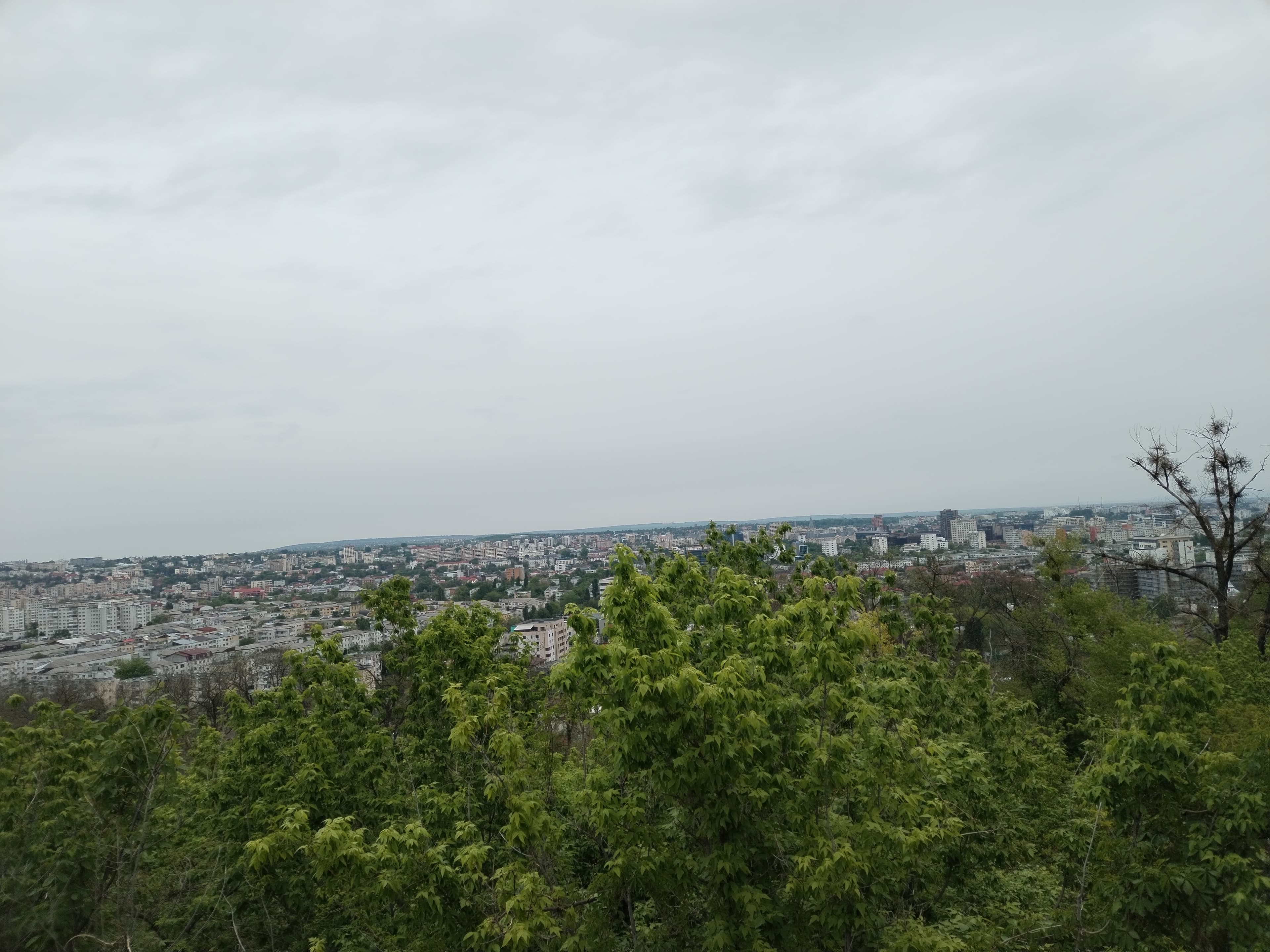photo7