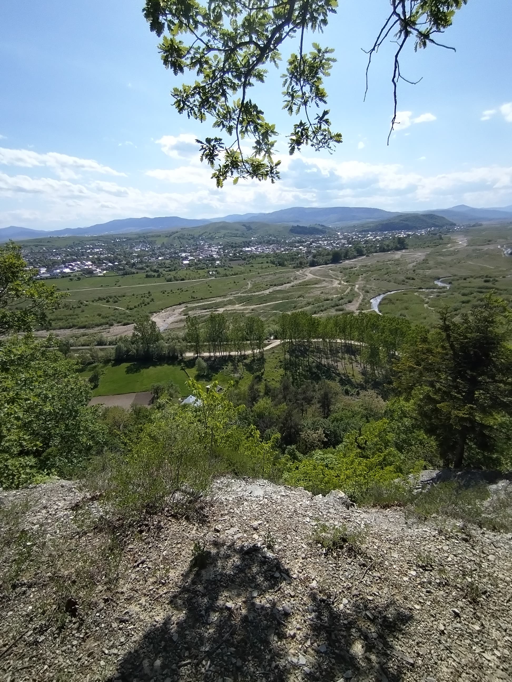photo8